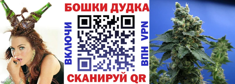 Где найти наркотики Новая Ладога Галлюциногенные грибы Alpha PVP ГАШИШ Канабис МЕФ COCAIN