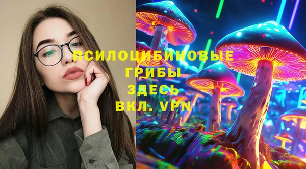 стаф Баксан