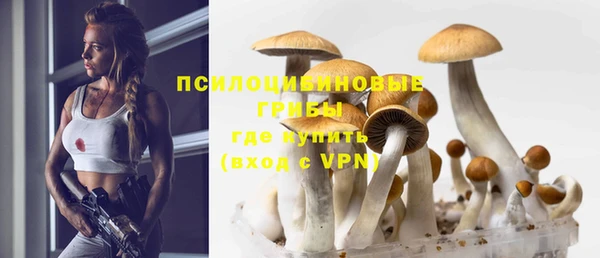 стаф Баксан