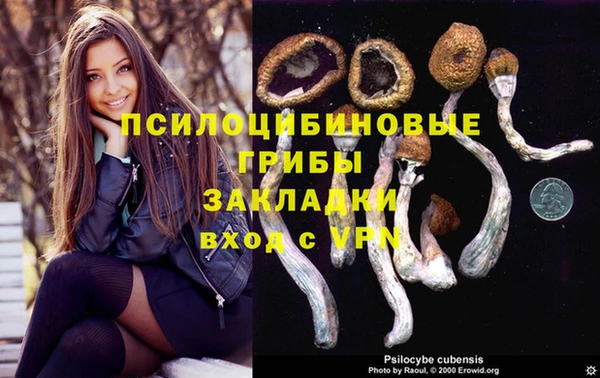 крисы Балахна