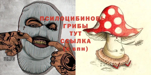 стаф Баксан