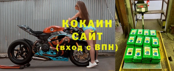 стаф Баксан