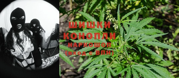 стаф Баксан