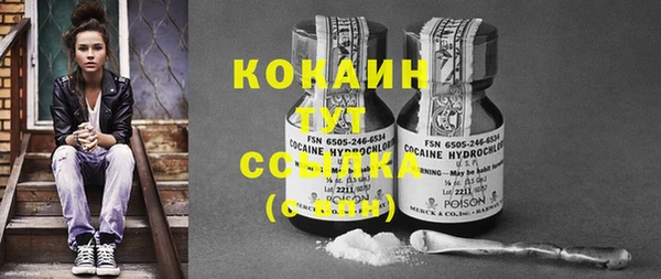 крисы Балахна