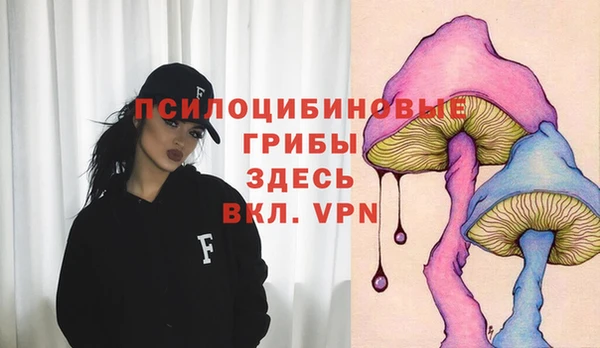 стаф Баксан