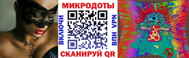Псилоцибиновые грибы Cubensis  Новая Ладога 
