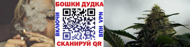 Марихуана THC 21%  купить наркотик  Новая Ладога 